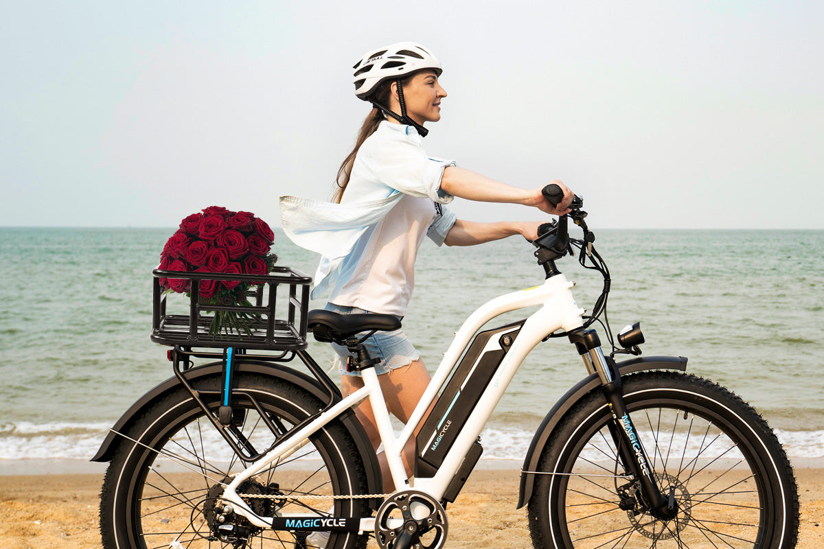 Large Ebike Rear Basket with Liner & Cargo Net、mySite、bearsvspackers