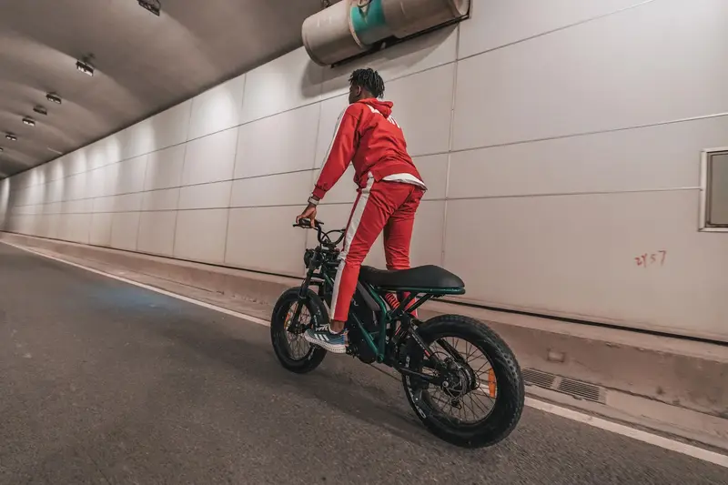 adult   tires electric bicycle motorcycle ebike 740w 52v 20ah 8ah battery detachable dual batteries 20 inch disc brake   outdoor off road electric bicycle large led display 26 miles per hour 100 mile electric bicycle Product details 6