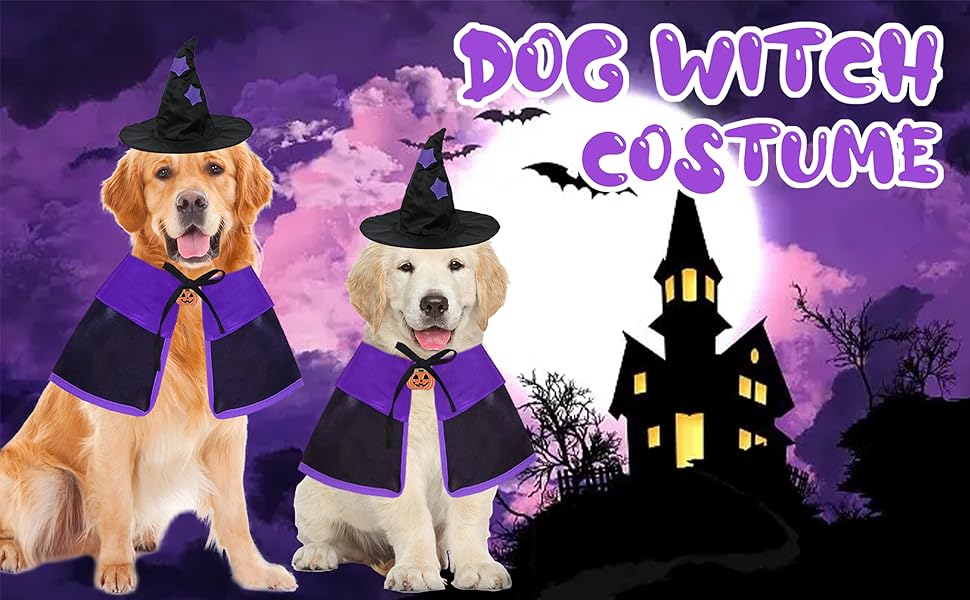 dog witch costume halloween