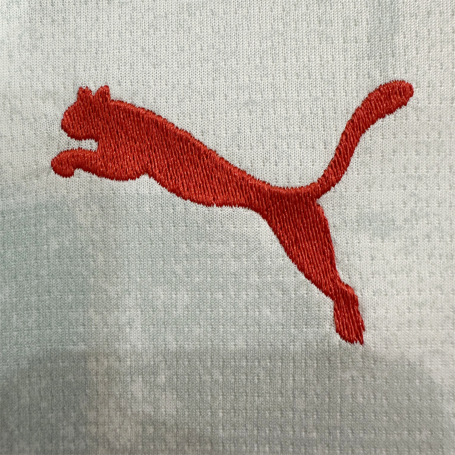 foot-Red Bull Salzburg 25-26 Home Jersey - Fans Version