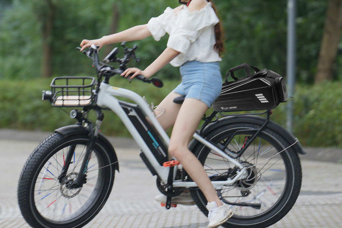 Ebike Battery Storage Waterproof Pannier Bag、mySite、bearsvspackers
