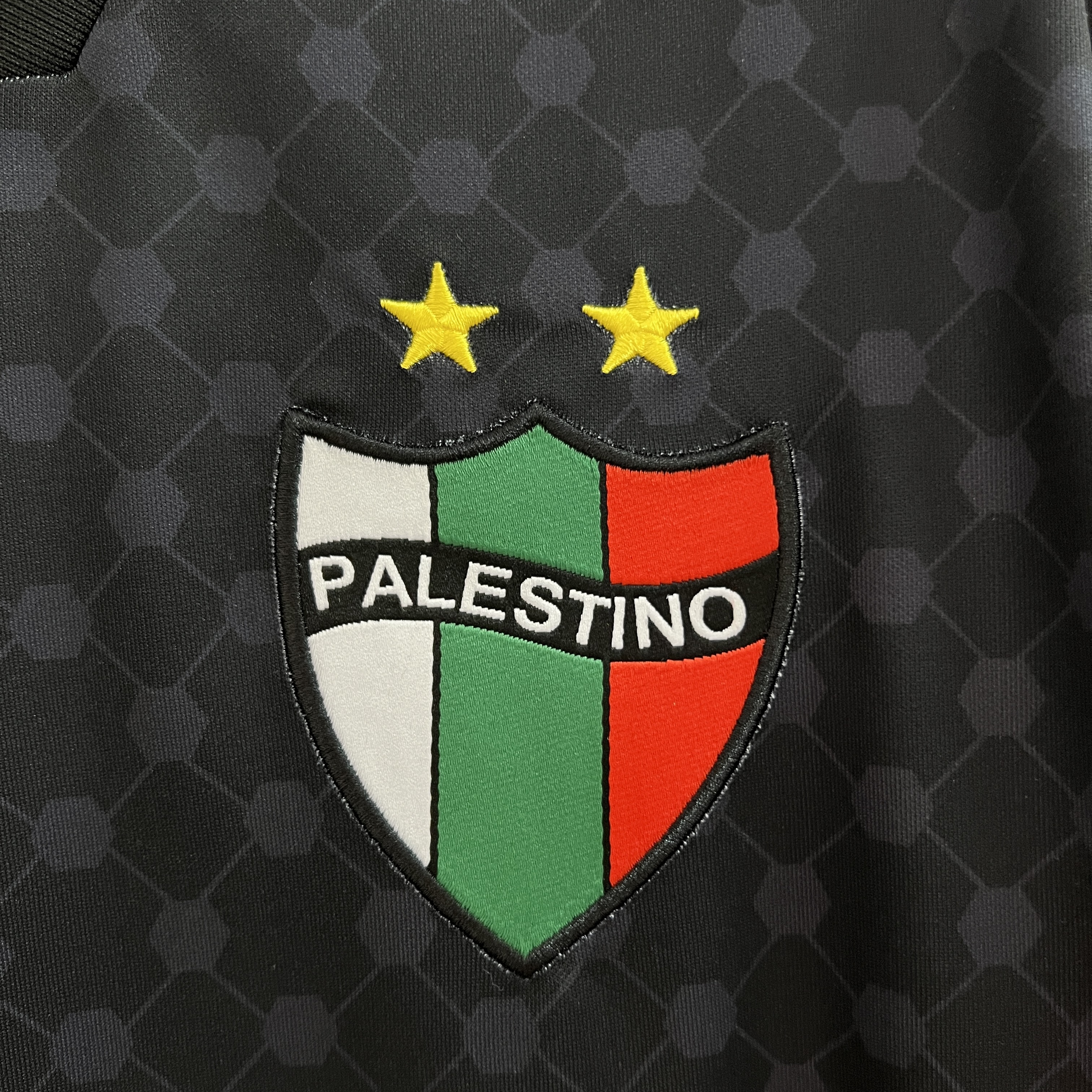 Higojerseys-Club Deportivo Palestino 24-25 Away Jersey - Fans Version