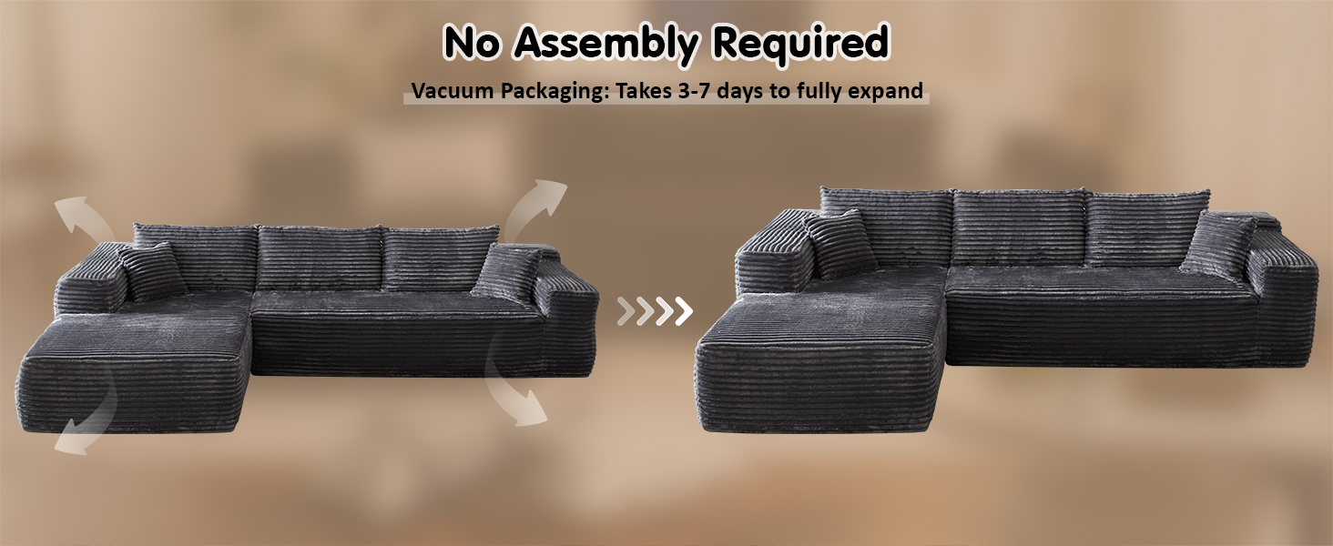 Cloud Sectional Couch with L-Shape Chaise