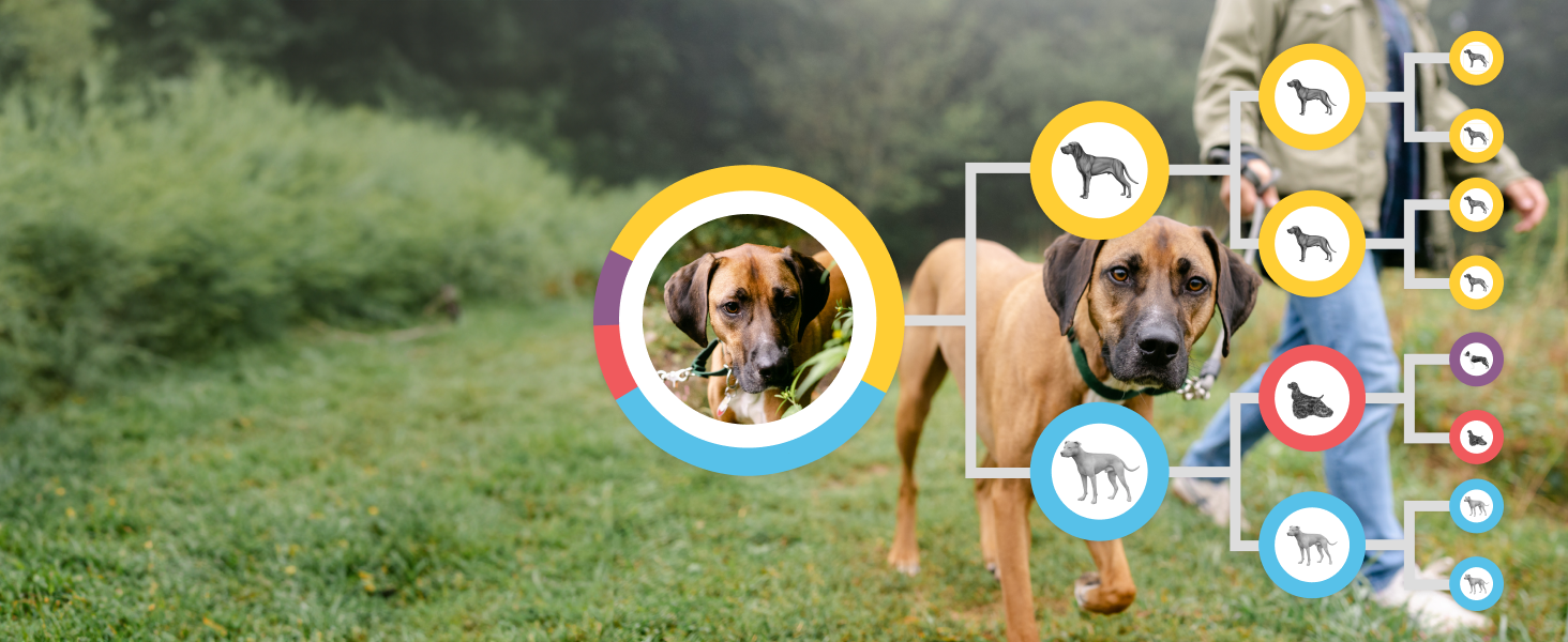 Embark test family tree results