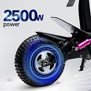 2500W Powerful Motor