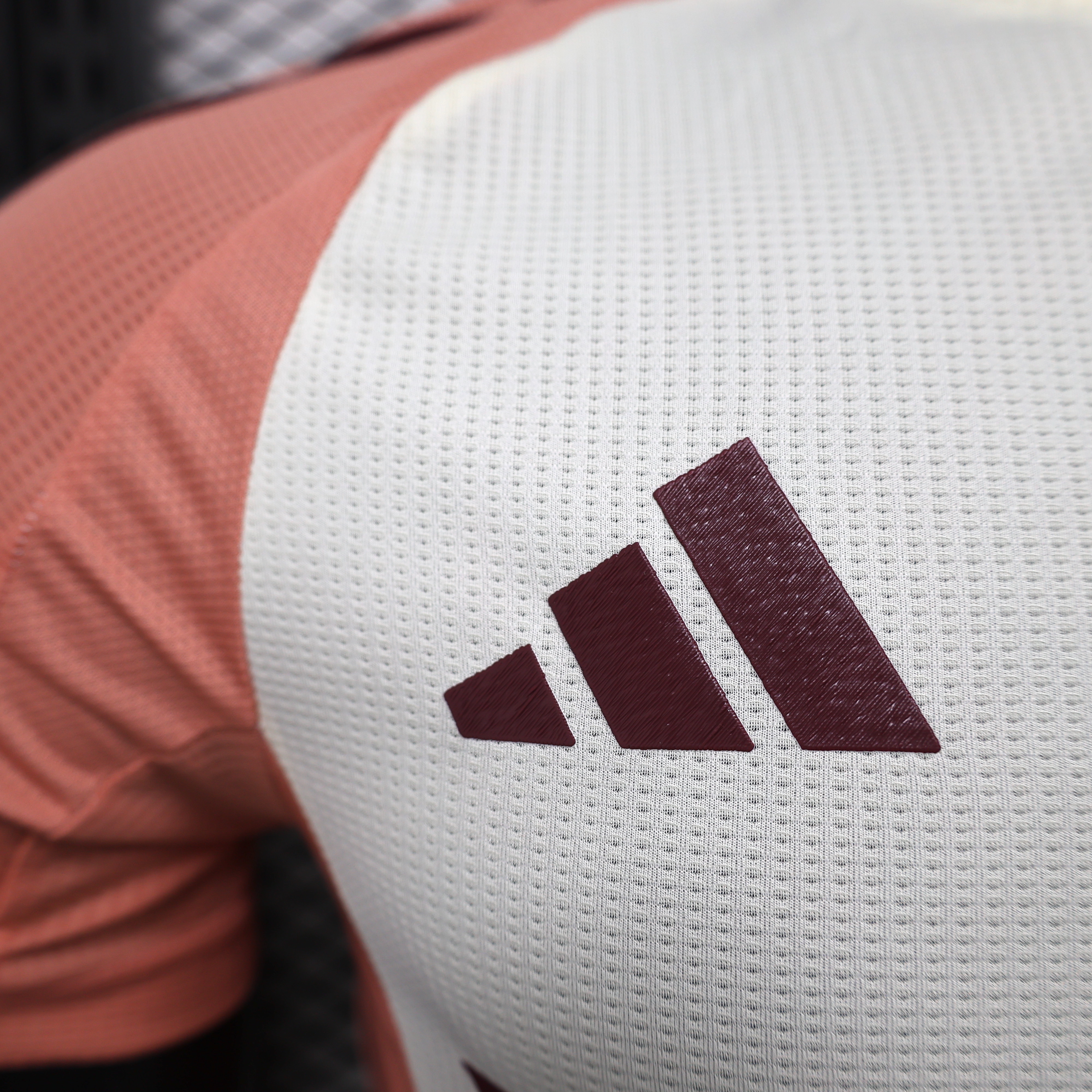 ManixJersey.com | Olympique Lyonnais Lyon 24-25 Third Jersey - Player Version -Customize Name, Number and Patch | Worldwide Shipping