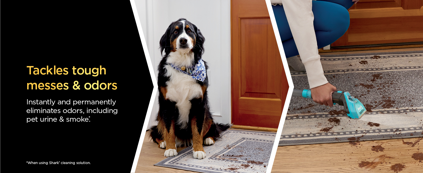 Tackles tough  messes & odors