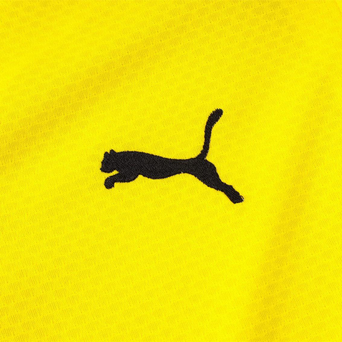 ManixJersey.com | Dortmund 24-25 Long Sleeve Training Set - Player Version - Yellow -Customize Name, Number and Patch | Worldwide Shipping