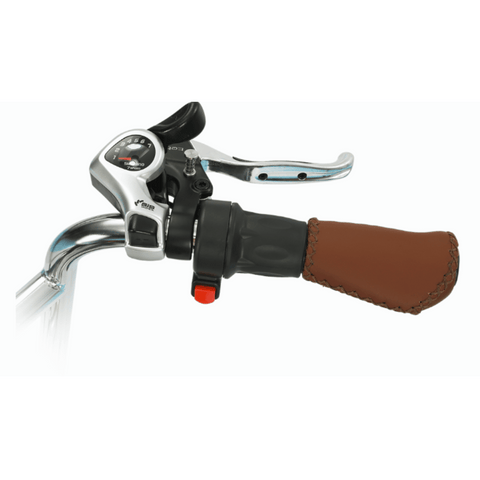 Relaxed_Body_750_watt_Electric_Tricycle_Right_Handle_View