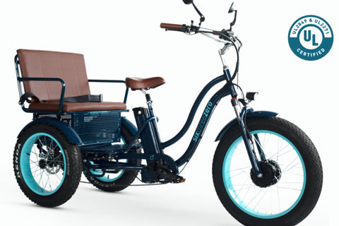 EVRYjourney 750W electric tricycle rickshaw with passenger seat, highlighting its powerful front hub motor for efficient transport.