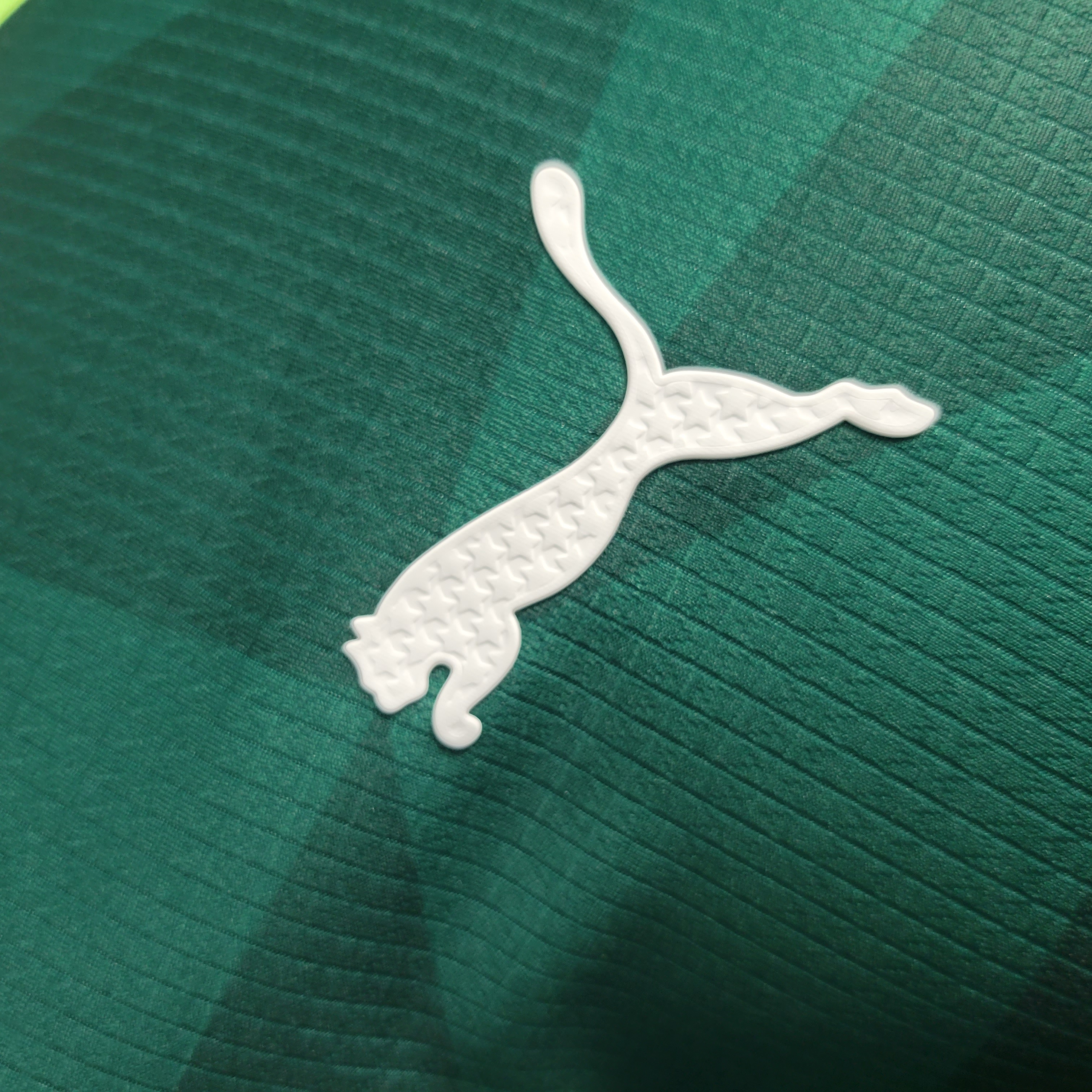 Higojerseys-Palmeiras 2023 Home Stadium Jersey - Player Version