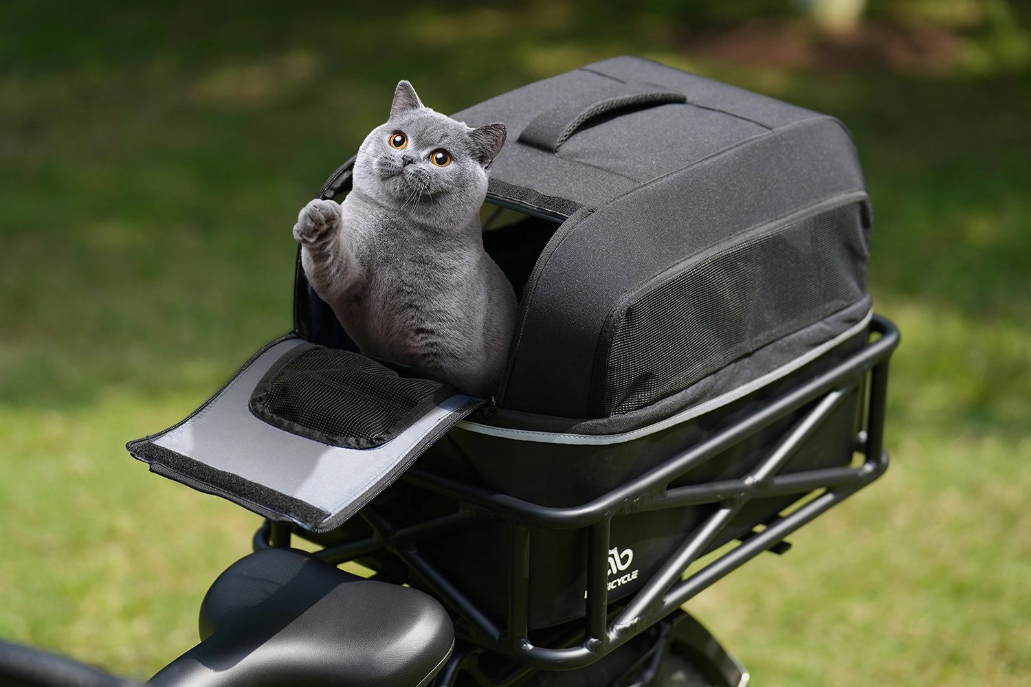 Magicycle Ebike Large Rear Rack Basket、mySite、bearsvspackers