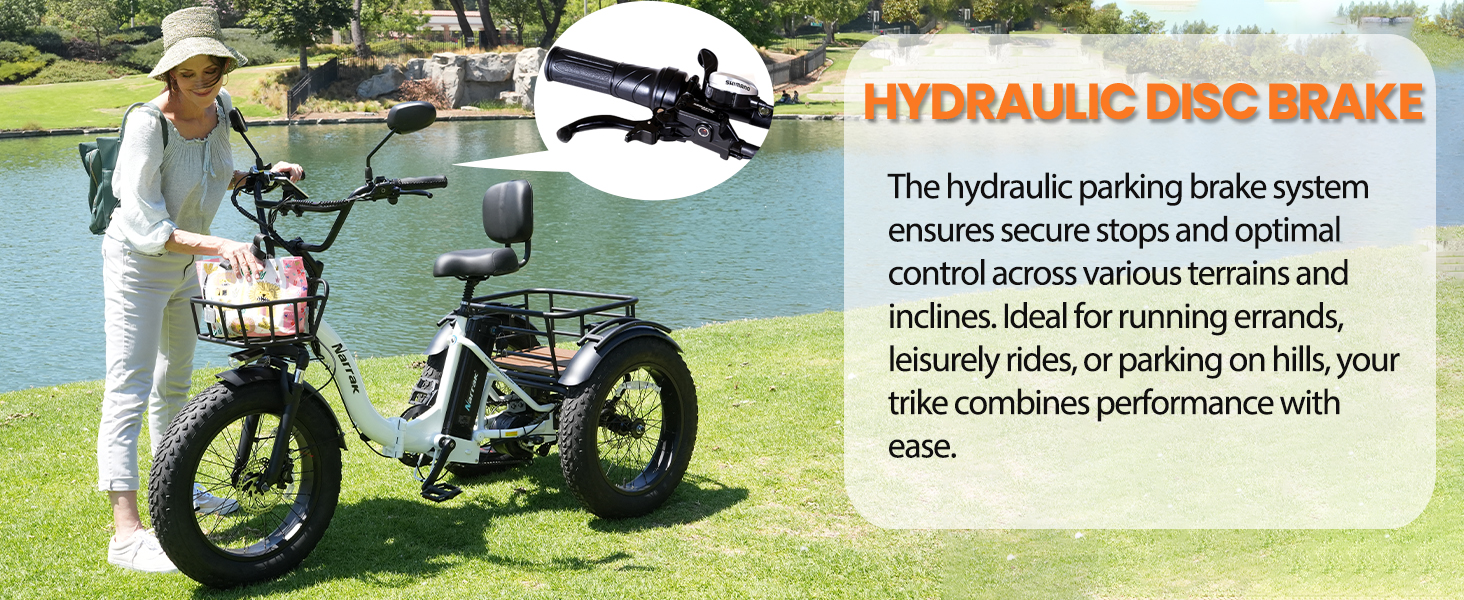 foldable electric trike
