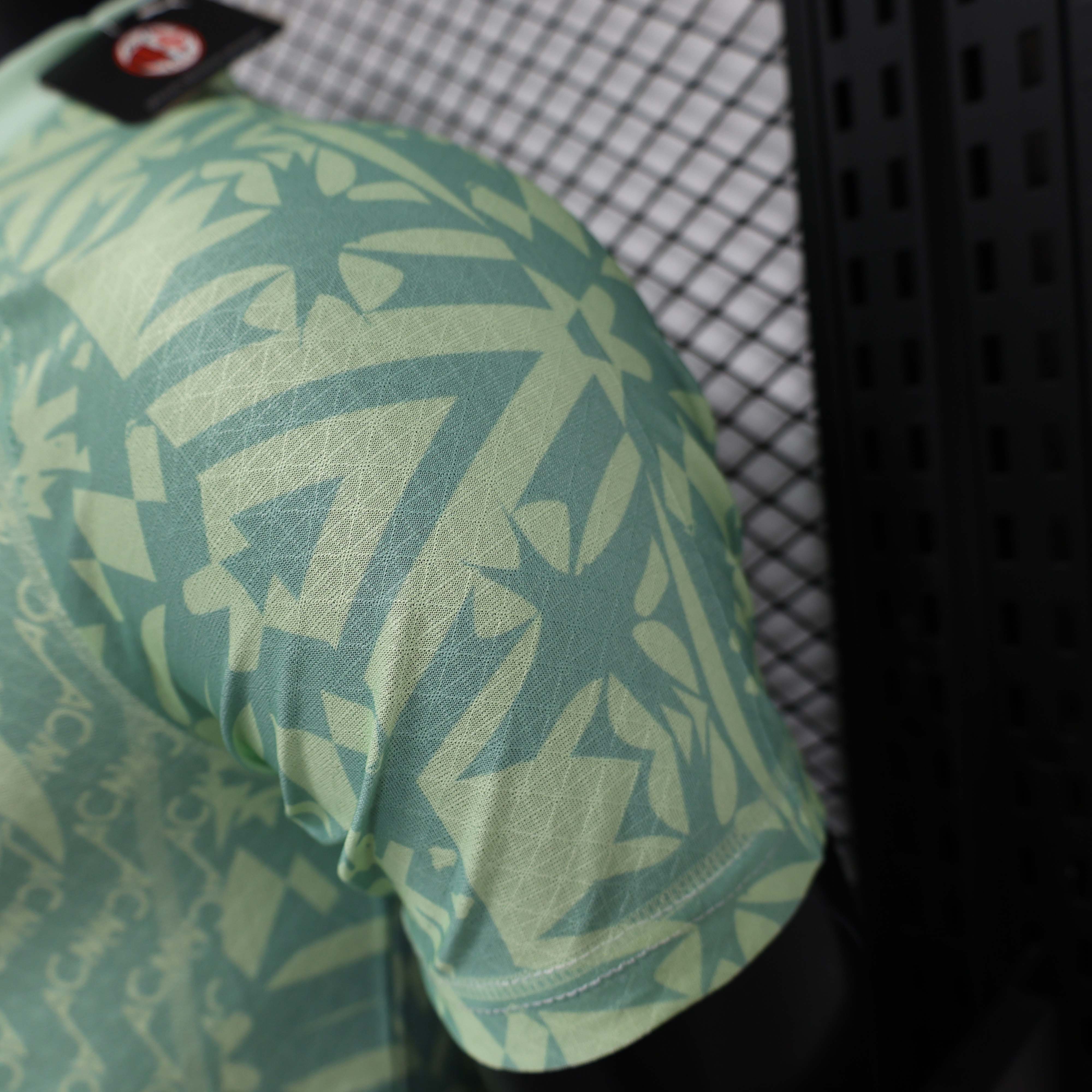 2024/2025 Player Version AC Milan Special Edition Green Soccer Jersey 1:1 Thai Quality:football jersey mysite: unitedjerseyfootball 邓江浪:football