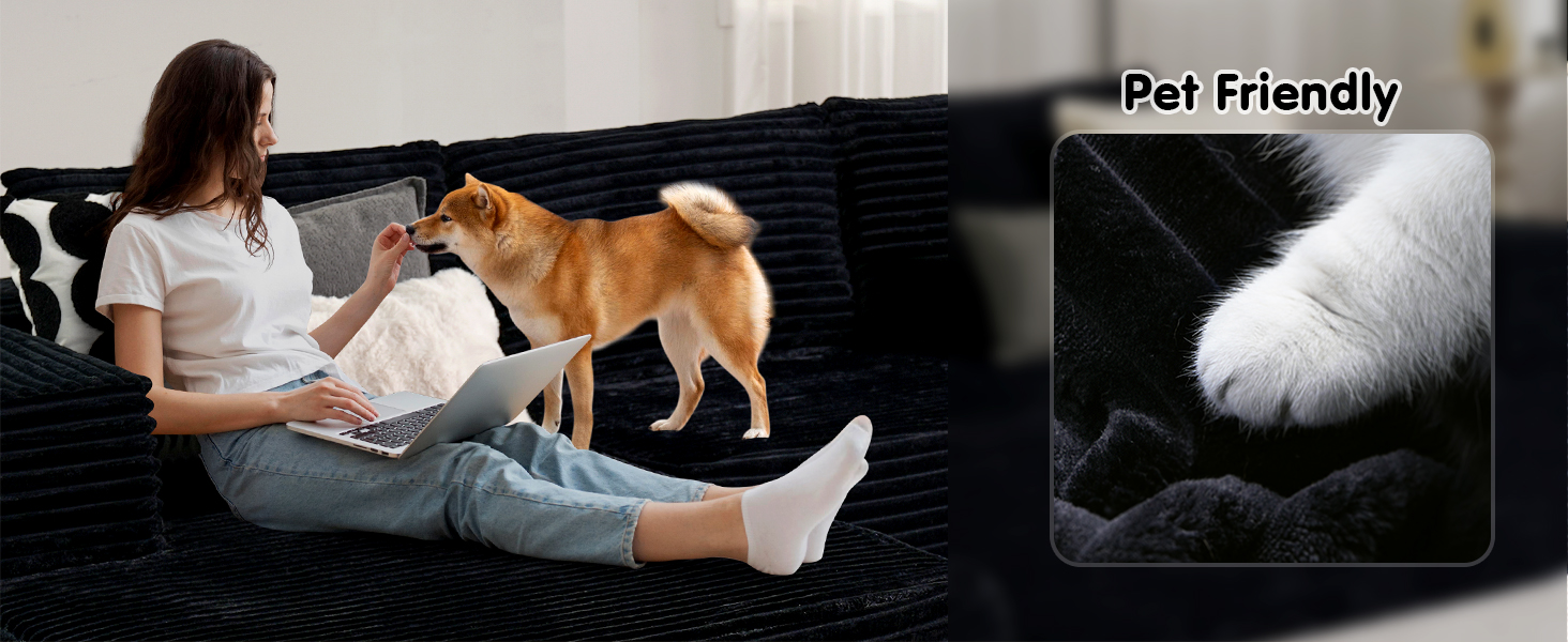 Cloud Sectional Couch with L-Shape Chaise