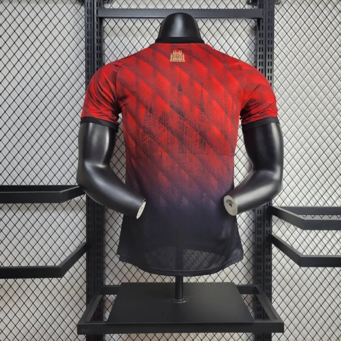 2024/2025 Player Version AC Milan Special Edition Football Jersey 1:1 Thai Quality:football jersey mysite: unitedjerseyfootball 邓江浪:football