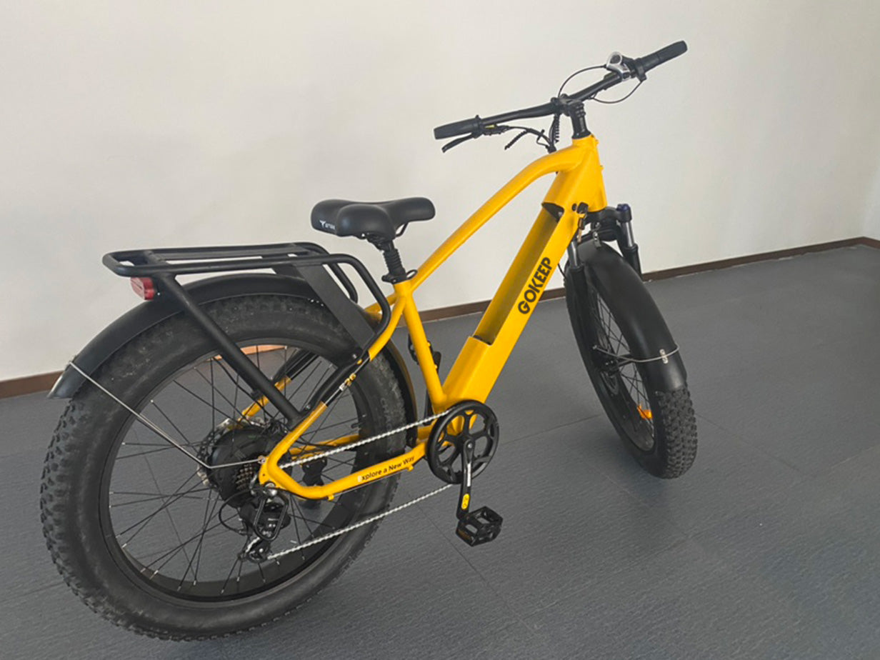 Engwe Gokeep、mySite、bearsvspackers