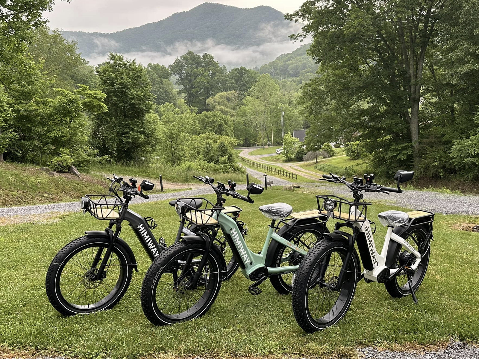 D5 ST(Zebra ST) / Premium All-terrain Electric Fat Bike、mySite、bearsvspackers