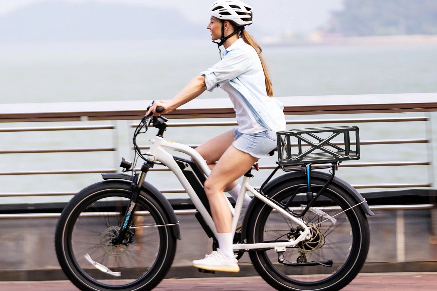 Magicycle Ebike Large Rear Rack Basket、mySite、bearsvspackers