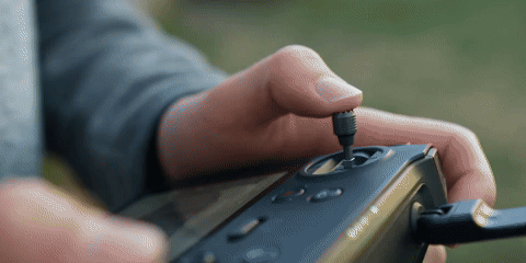 giphy (1).gif