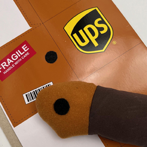 UPS dog Costume Box attach point