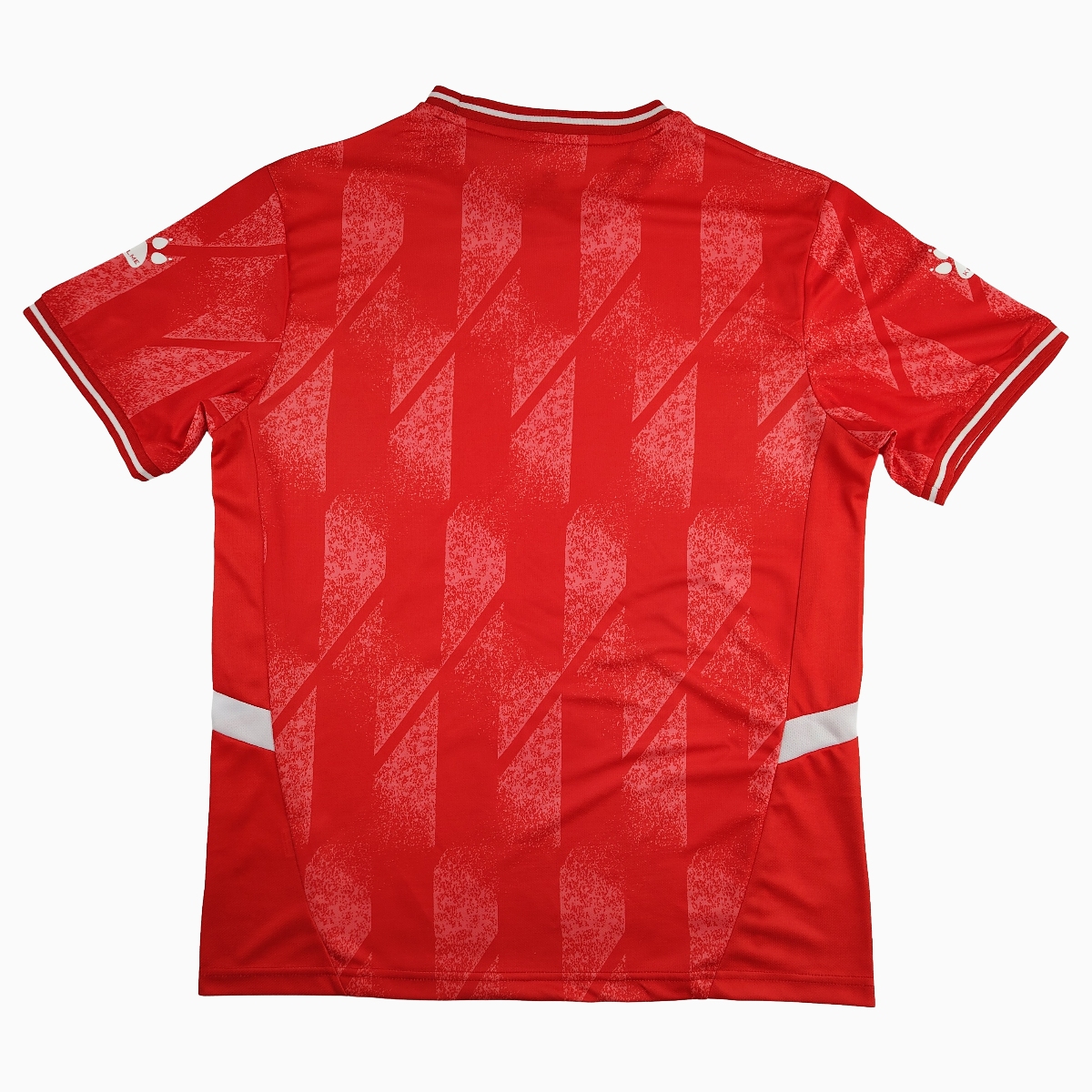 GlobeJersey-Palestine National Team 2024 Home Red Jersey - Fans Version