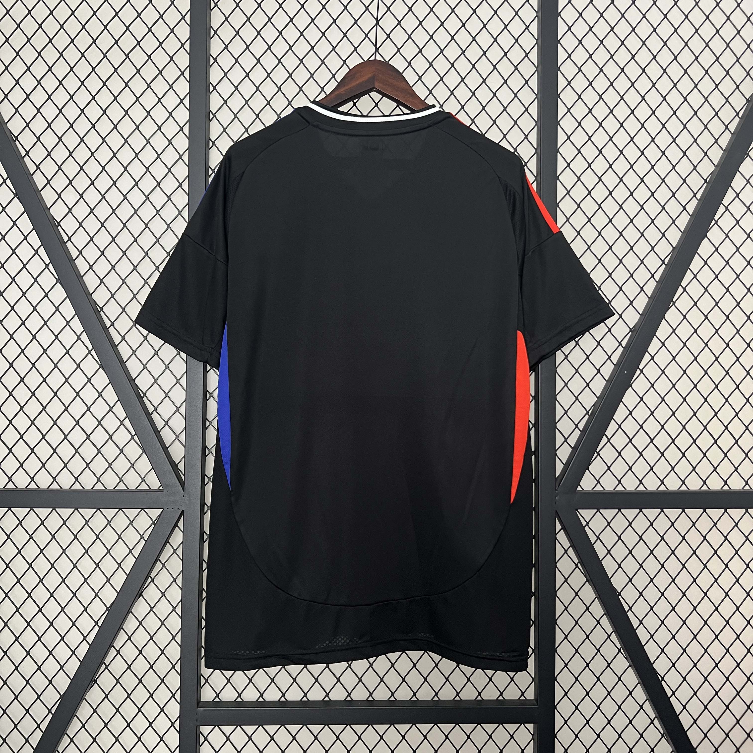 2024/2025 Lyon Away Football Shirt 1:1 Thai Quality:football jersey mysite: unitedjerseyfootball 邓江浪:football