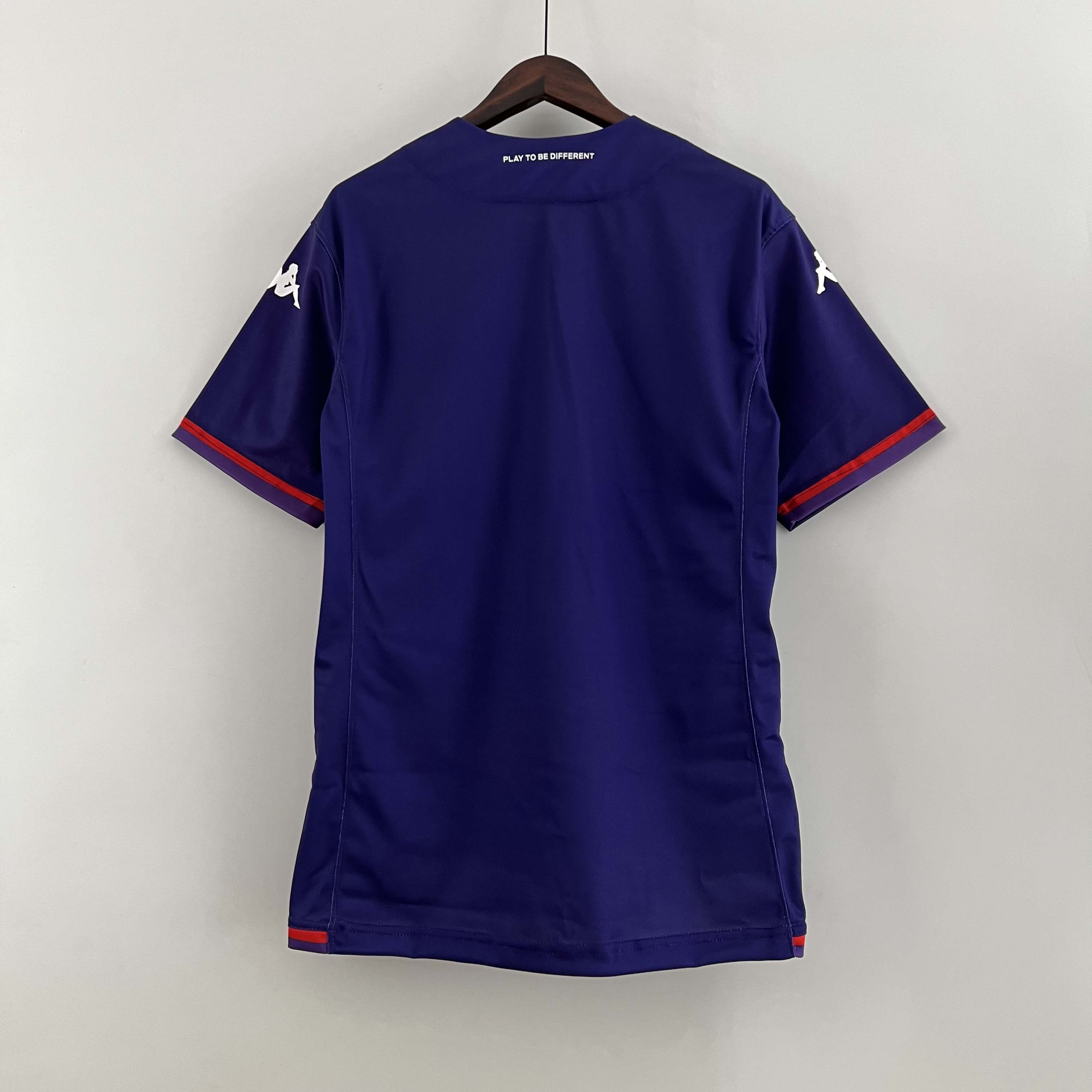 2023/2024 Fiorentina Third Away Soccer Jersey 1:1 Thai Quality:football jersey mysite: unitedjerseyfootball 邓江浪:football