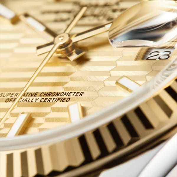 兼职  林炎: luxecystore