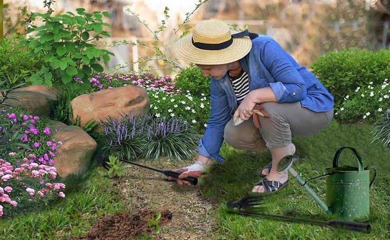 Product Introduction of Garden Weed Pulling Tool Uprooting Weeding Tool, 4 Teeth Weed Puller Tool Manganese Steel Garden Weeder Tool for Vegetable Gardening Planting (Black, 2 Pack, 16 inches) 0