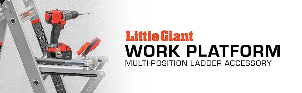 Little Giant