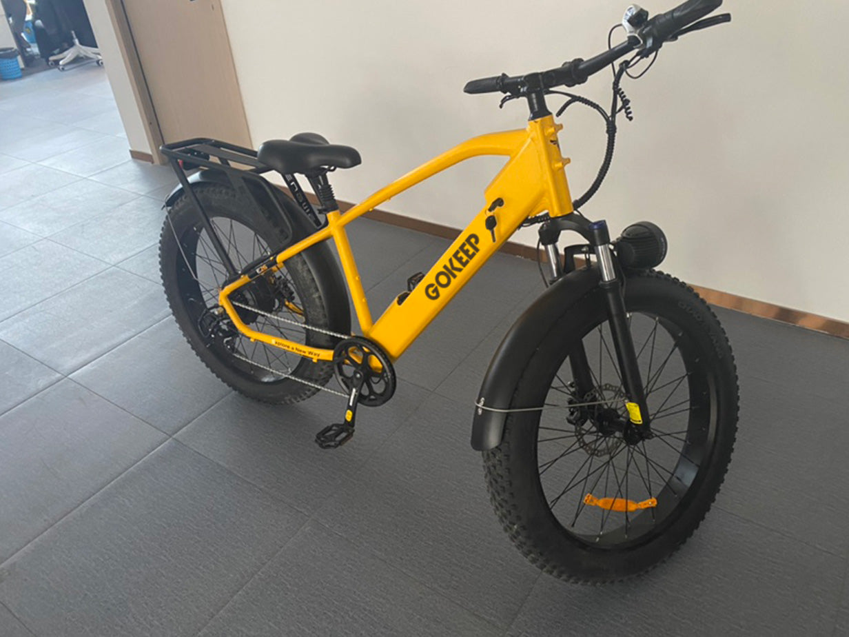 Engwe Gokeep、mySite、bearsvspackers