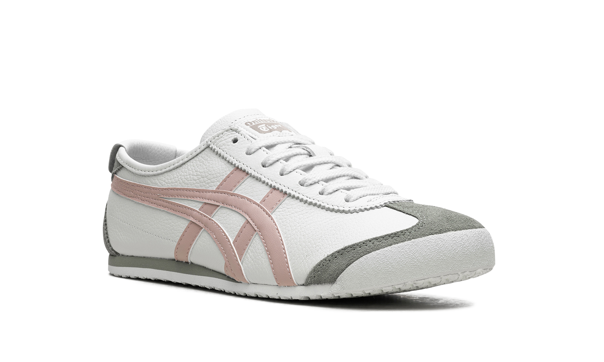 Mexico 66 "Airy Blue Watershed Rose"、mysite、Cacoeks