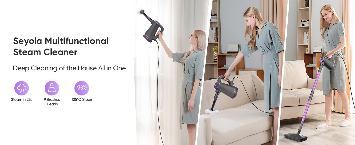 steam cleaner for home