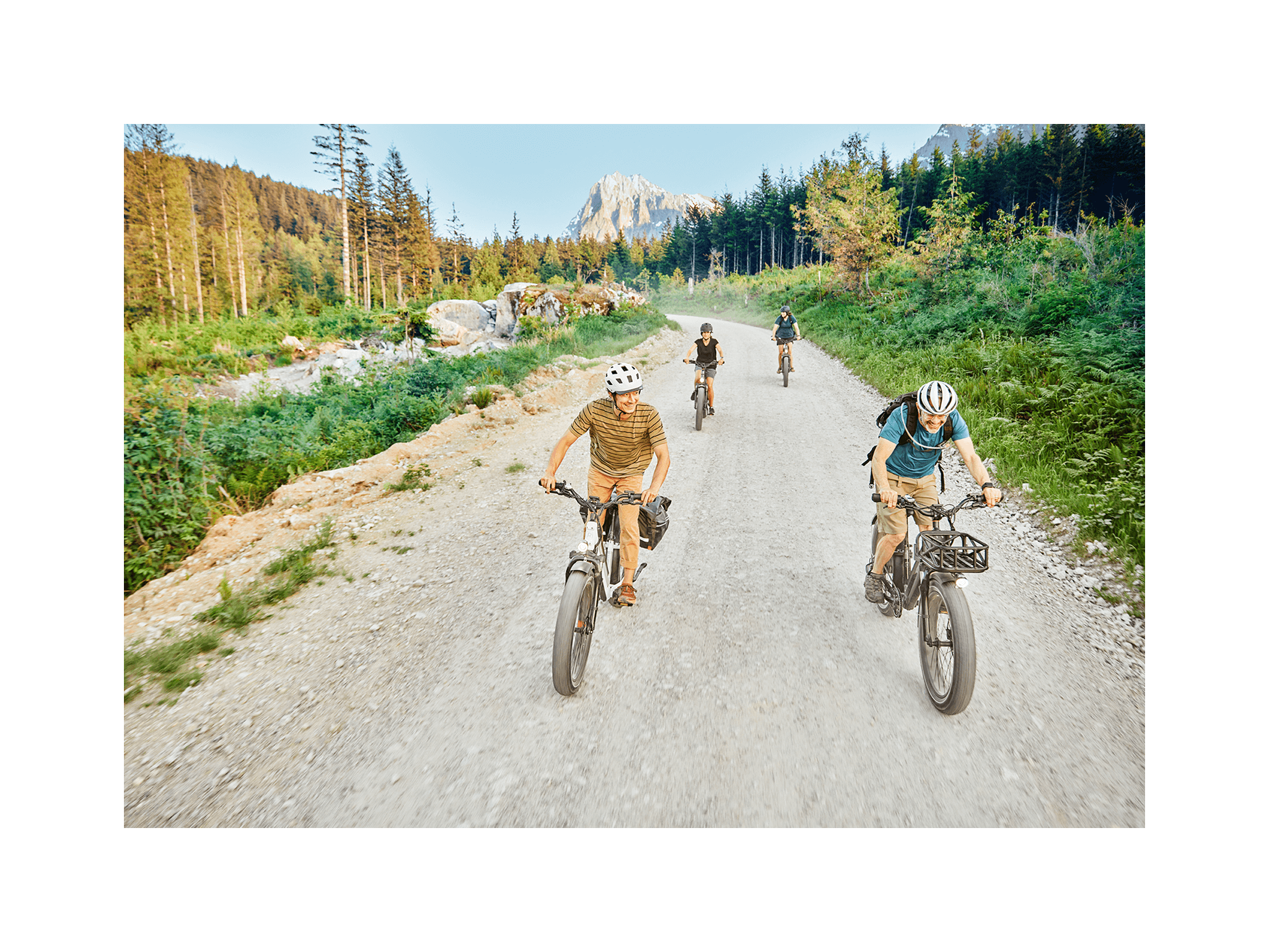 RadRover™ 6 Plus Electric Fat Tire Bike、mySite、bearsvspackers
