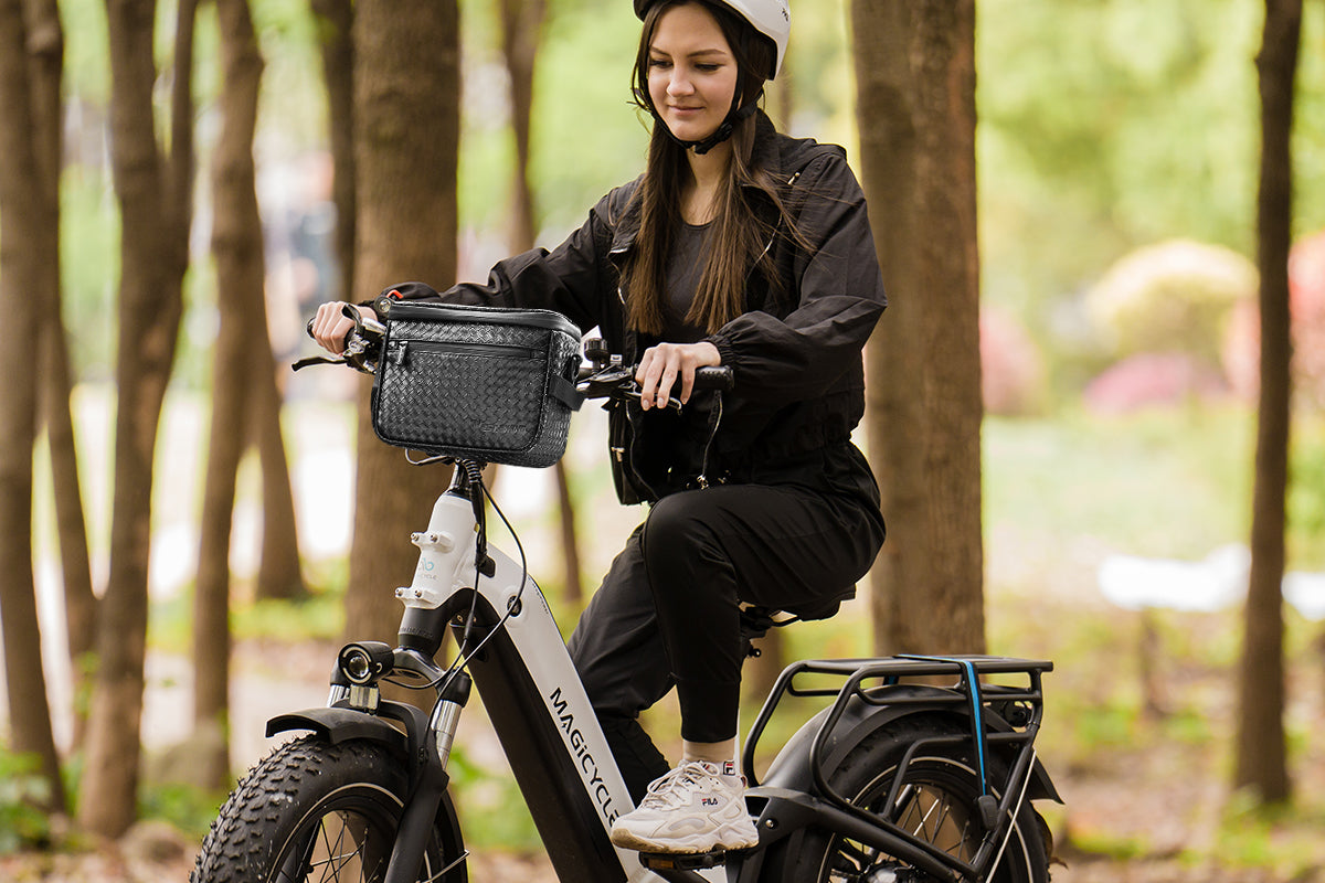 Electric Bike Handlebar Bag Bicycle Front Bag Storage Bag with Shoulder Strap、mySite、bearsvspackers