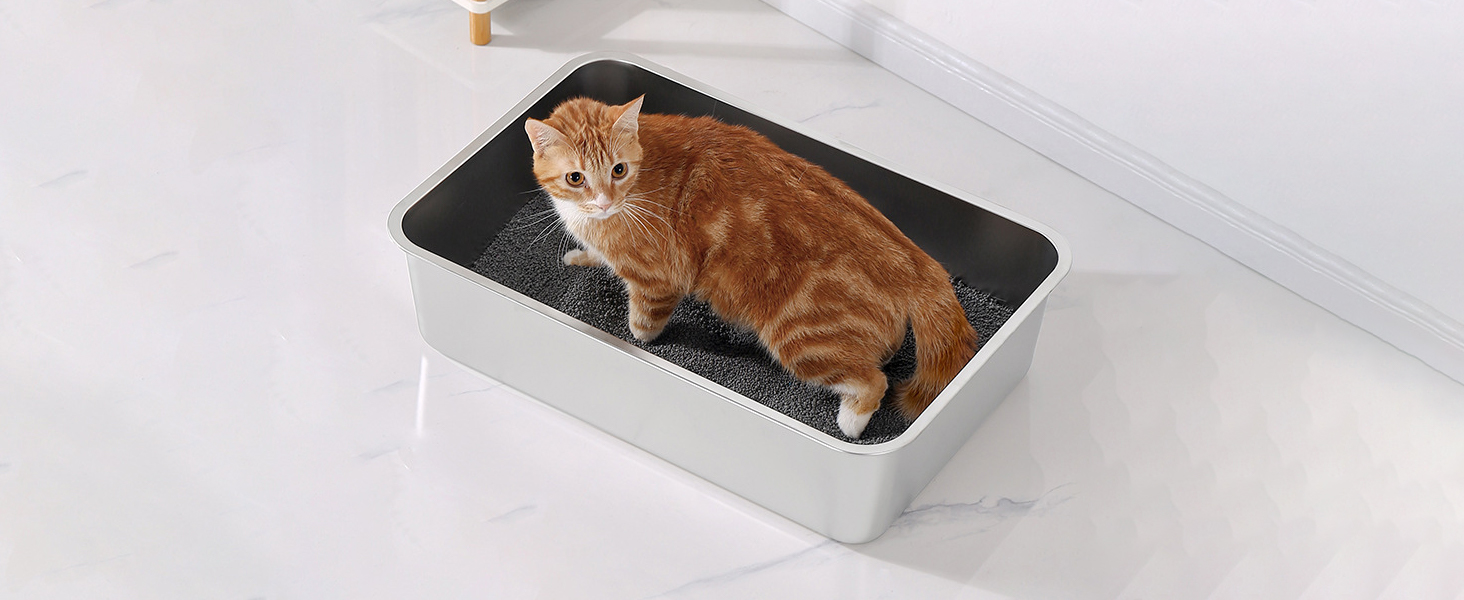 aplus content image