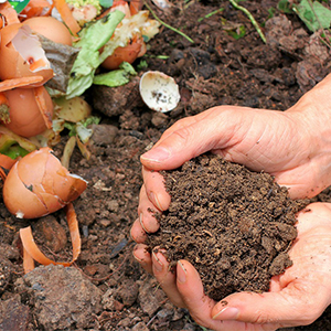 Two hands holding soil