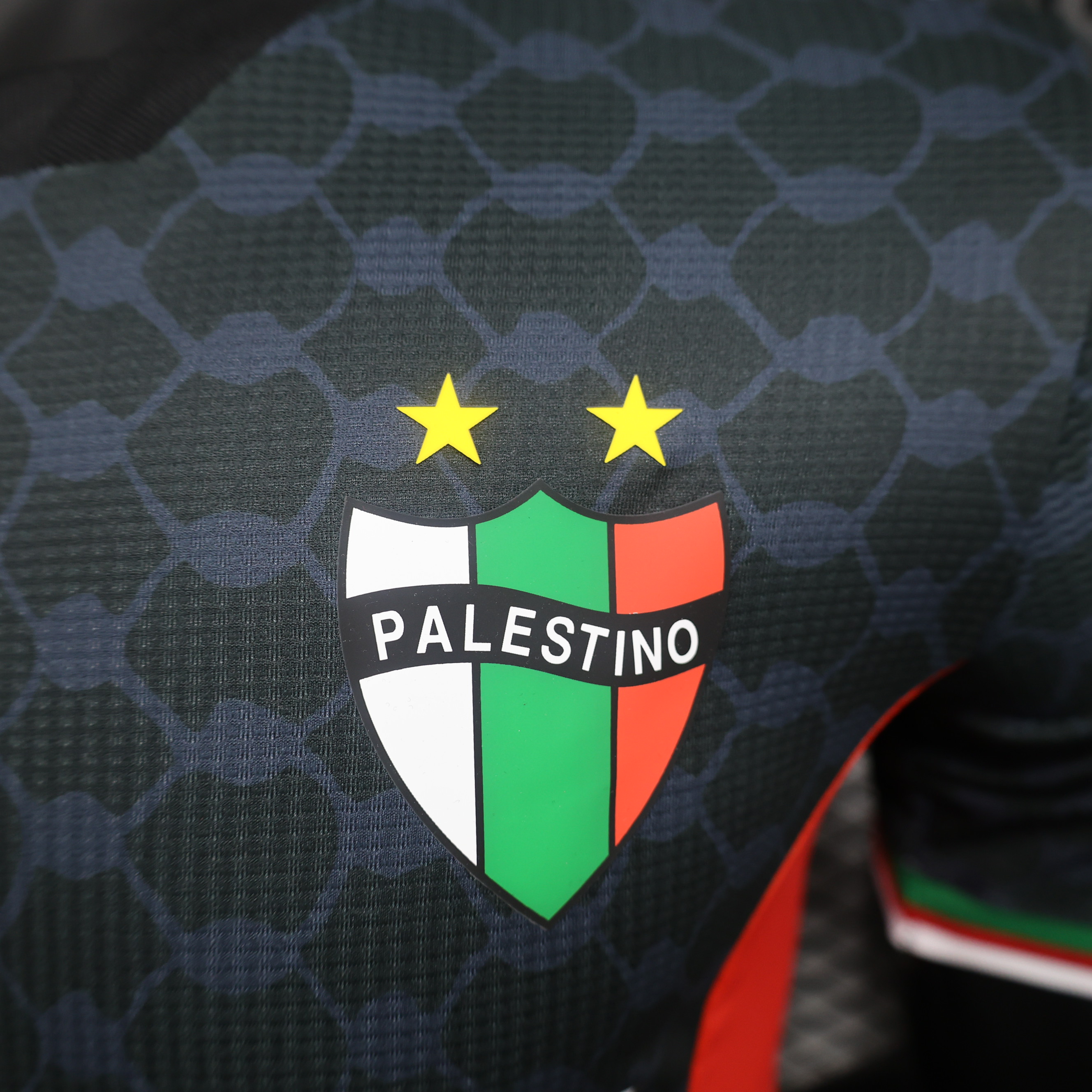 Higojerseys-Club Deportivo Palestino 2024 Away Jersey - Player Version