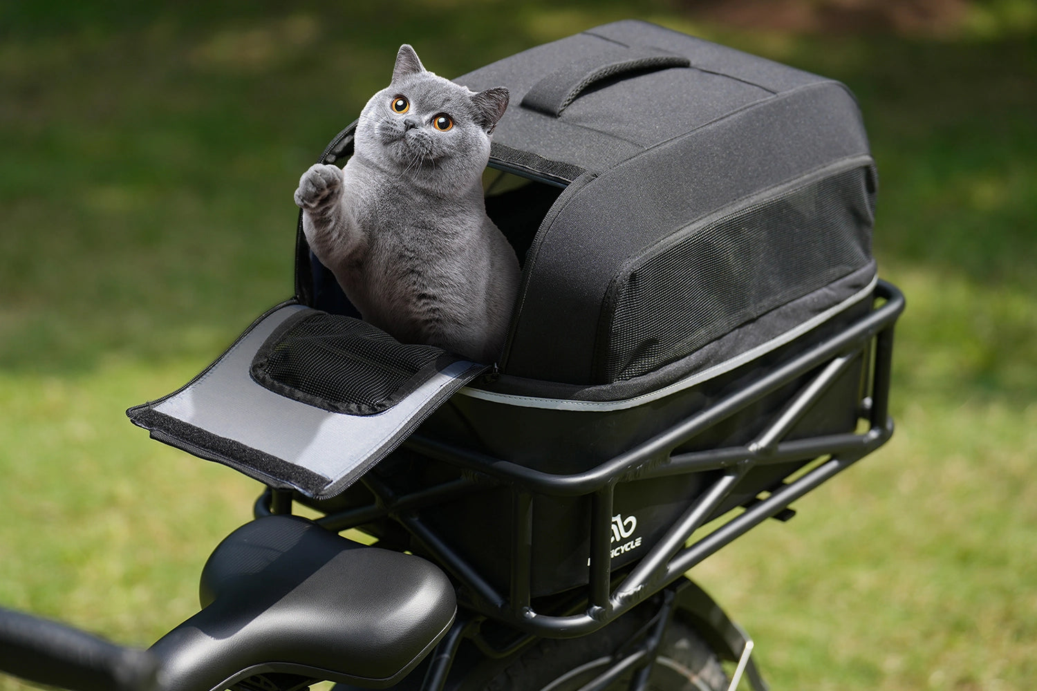 Magicycle Electric Bikes Pet Carrier Travel Bag、mySite、bearsvspackers