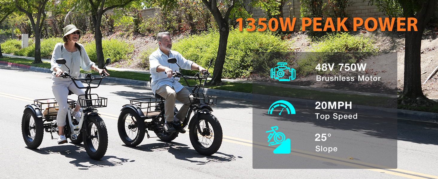 electric trike for adults