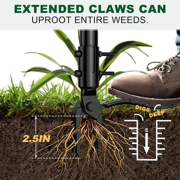 Angel Sar 64 in. 4 Claws 3 Lengths of Adjustable Stainless Steel Stand Up  Hand Weeder with Long Handle, Detachable Weed Puller XCQY1335 - The Home  Depot