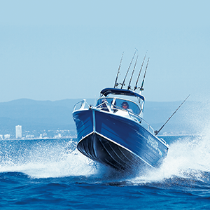 Lowrance 3
