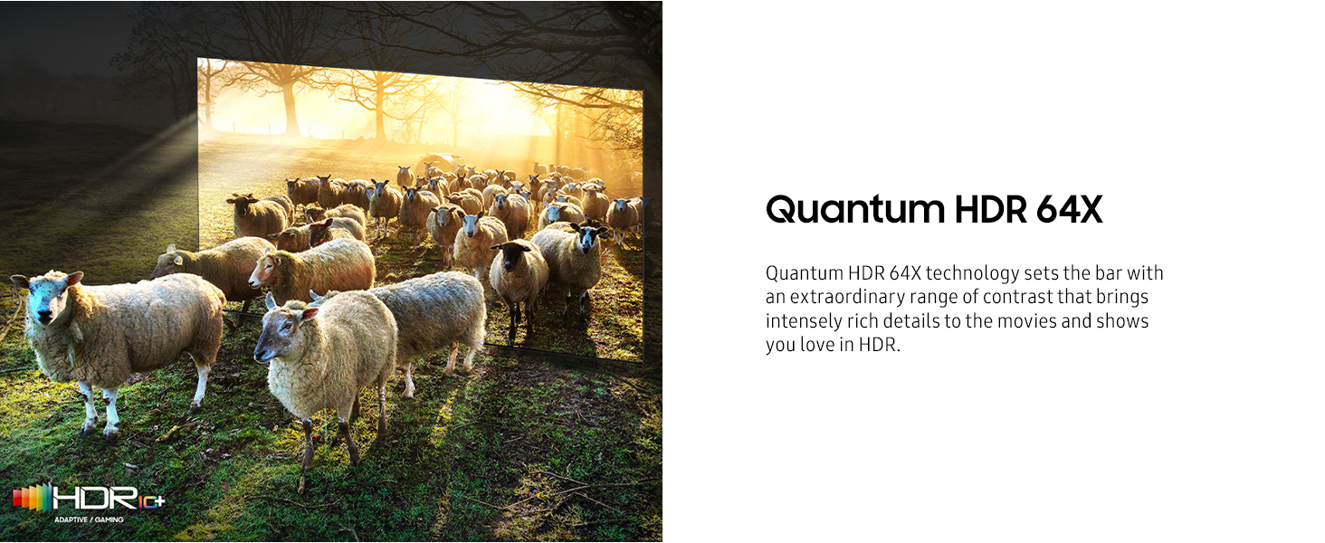 Quantum HDR 64X