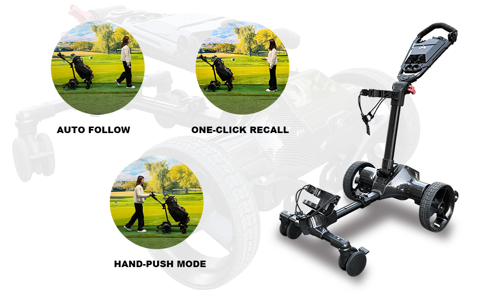 Electric Golf cart
