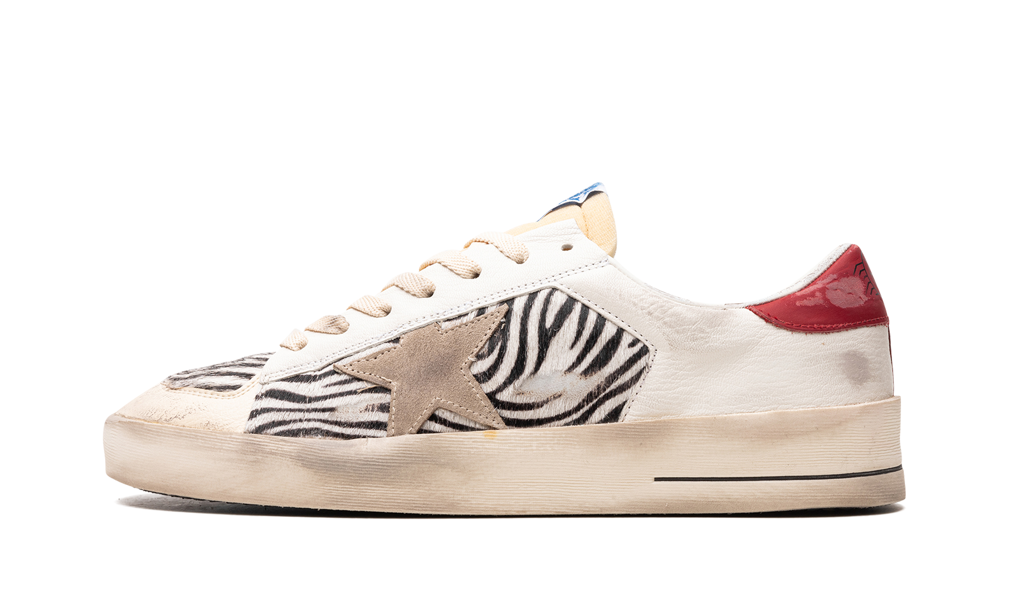 STARDAN "MULTICOLOR"、mysite、Cacoeks