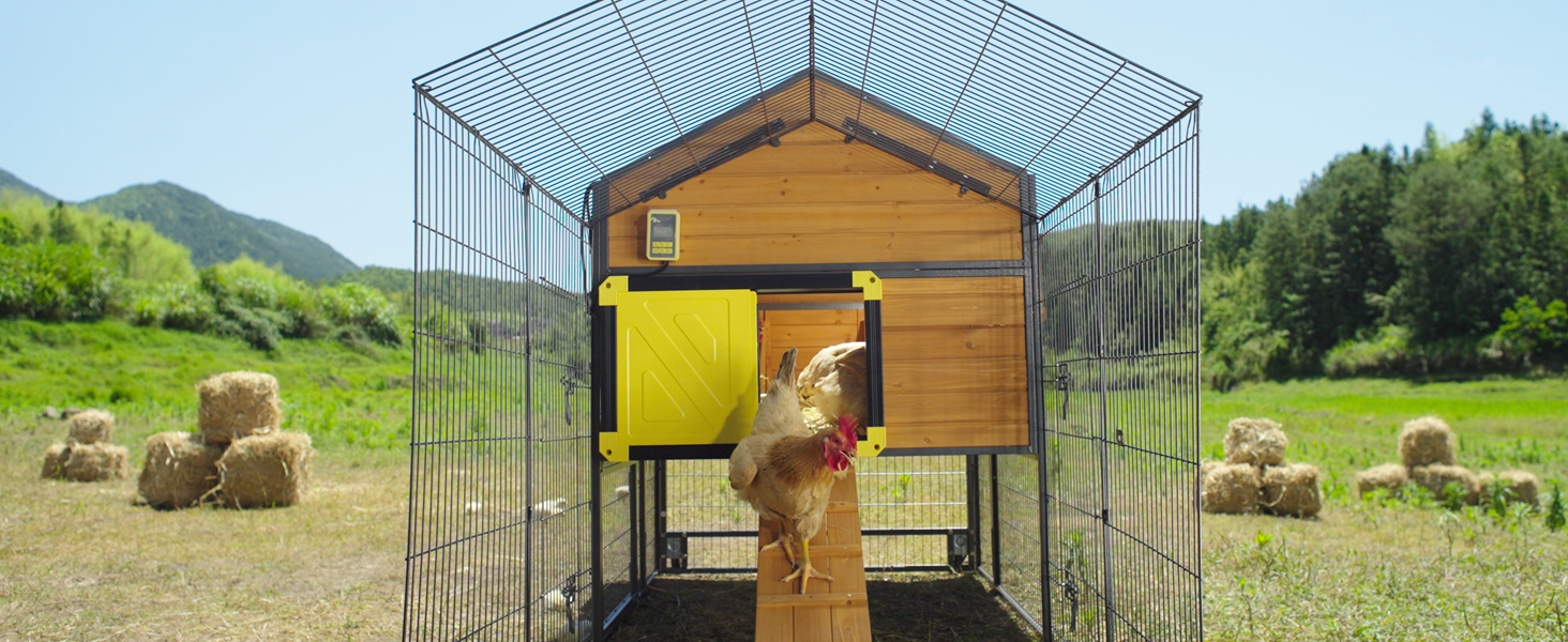 Chicken coop