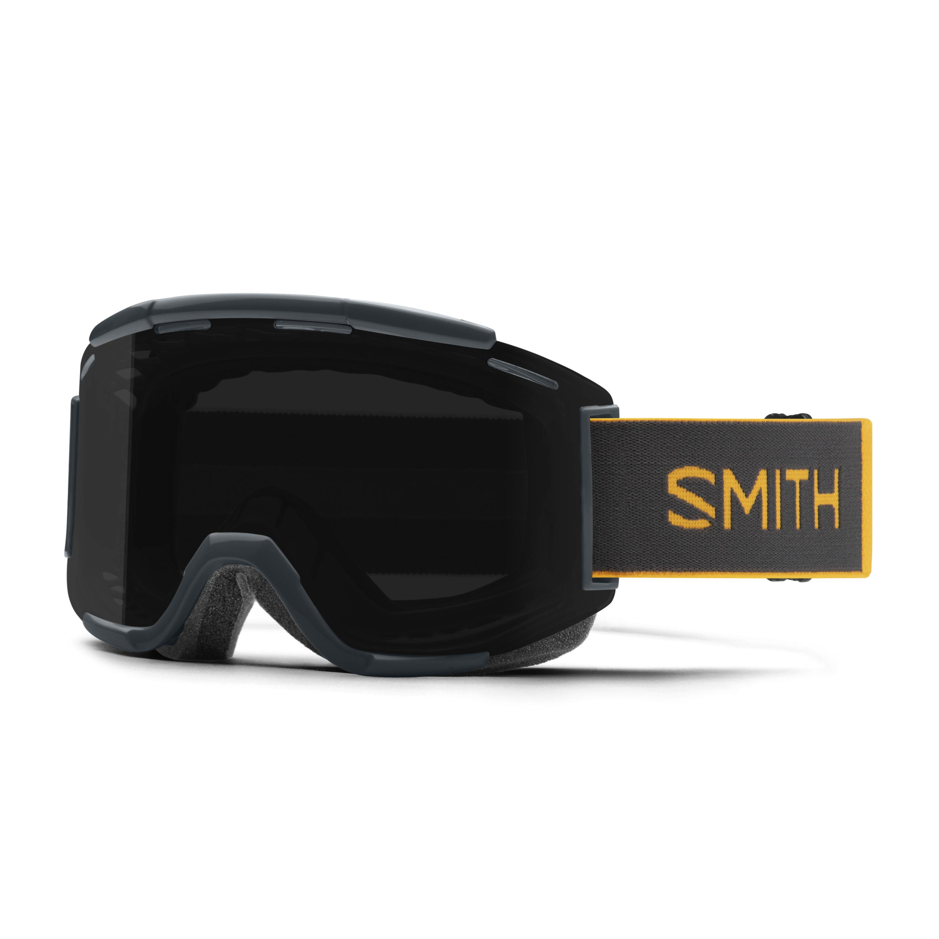 Squad MTB Goggles with ChromaPop™ - Slate/Fool's Gold、mySite、bearsvspackers