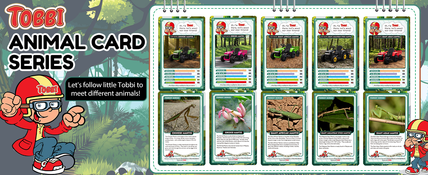 animal card series