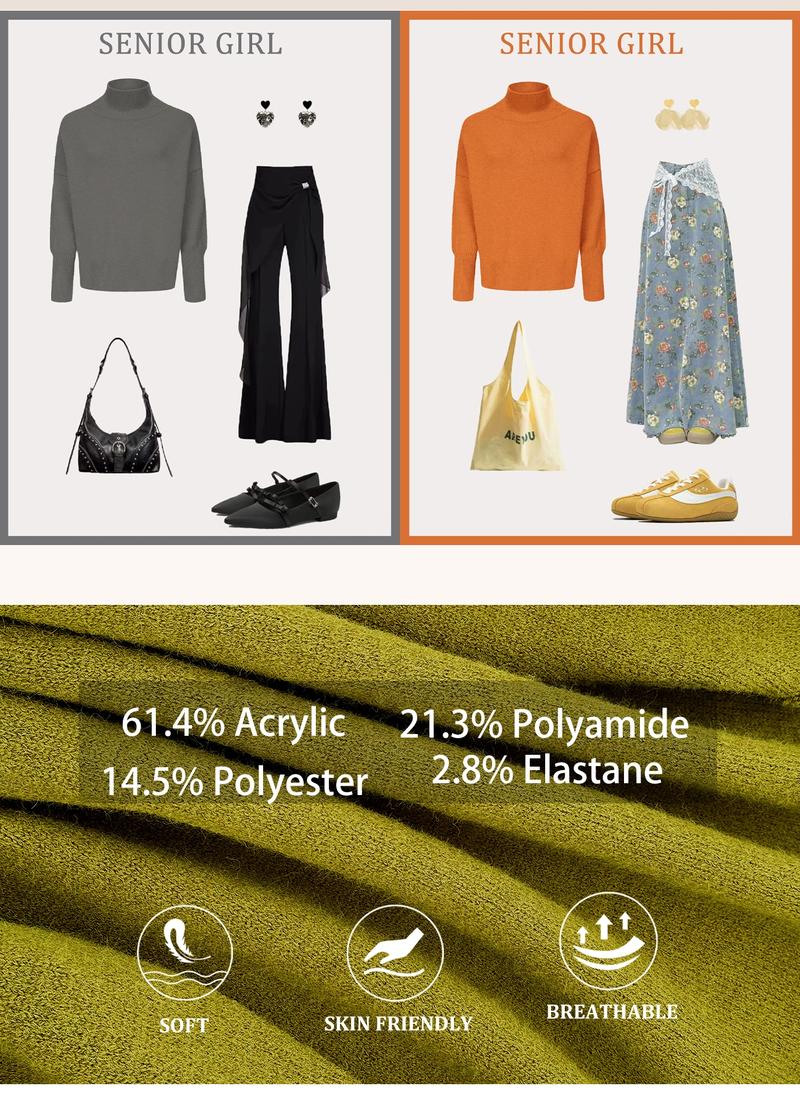 Autumn Winter Women's Knit Sweater High Neck Loose Casual French Style Elegant Simple Solid Color Pullover Long Sleeve Top